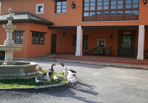 Escapada a la Yeguada Albeitar y rodéate de animales