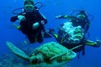 Bautizo de buceo Los Cristianos con FOTO