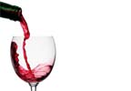 Escapada con cata de vinos en La Casa del Canónigo