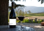 Visita a la bodega Dos Terras, cata de vino y obsequio para dos 