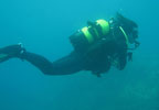 Bautizo de buceo personalizado para dos en Cartagena