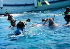 Snorkel en las Islas Medas