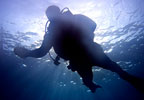 Curso de buceo OPEN WATER DIVER en Cartagena