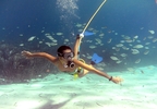 ¡ÚNICO! Buceo en libertad sin peso en Mallorca