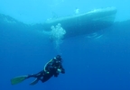 OFERTA 2X1: Bautizo de buceo para dos en Almería