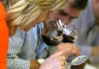 OFERTA: Curso de cata de vinos en Laguardia y visita al museo