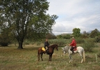 ¡OFERTA! Paseo a caballo para dos por la Sierra de Madrid