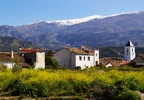 Escapada rural de 2 noches con cena en Los Naranjos