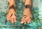 Fish Spa y masaje de manos o pies en S&B Almería
