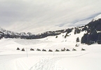 OFERTA: Mushing y paseo 1 hora moto de nieve en Grandvalira