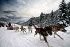 Mushing en Pal (Vallnord) ADULTO, un paseo de 1'5 kms