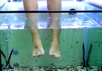 Fish Spa en manos o pies con masaje en Namaste