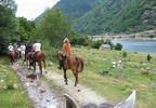 Paseo a caballo (1h) y clase para 2 en el Montseny o Montnegre