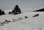 OFERTA: Mushing y paseo 30 minutos moto de nieve en Grandvalira
