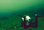 Bautizo de buceo en río para dos en el Alto Tajo