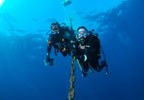 2x1: Bautizo de buceo para dos en El Hierro