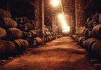 Maridaje de vinos y aperitivo en Bodega Alvear