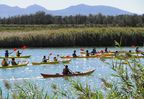 Excursión en ecokayak por las marismas del Empordà
