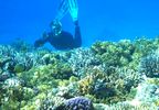 Snorkeling en Fuengirola