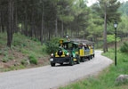 Tour en tren y ruta para toda la familia