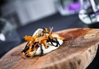 Menú gastronómico saludable en SHA Wellness