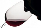Taller de cata de vinos