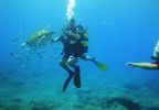 Bautizo de buceo para dos en Las Tortugas en Tenerife