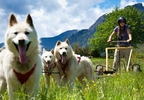 OFERTA: Paseo en trineo tirado por perros para 2 en Panticosa